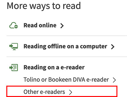 reading-ereader-EN.jpg